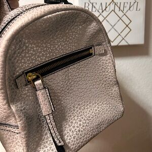 Elegant Fossil  Silver leather Textured Women's mini Backpack